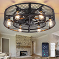 26 Inch Farmhouse Caged Ceiling Fan with Light, Remote & APP Control Quiet DC Motor E26 Bulbs Included Black